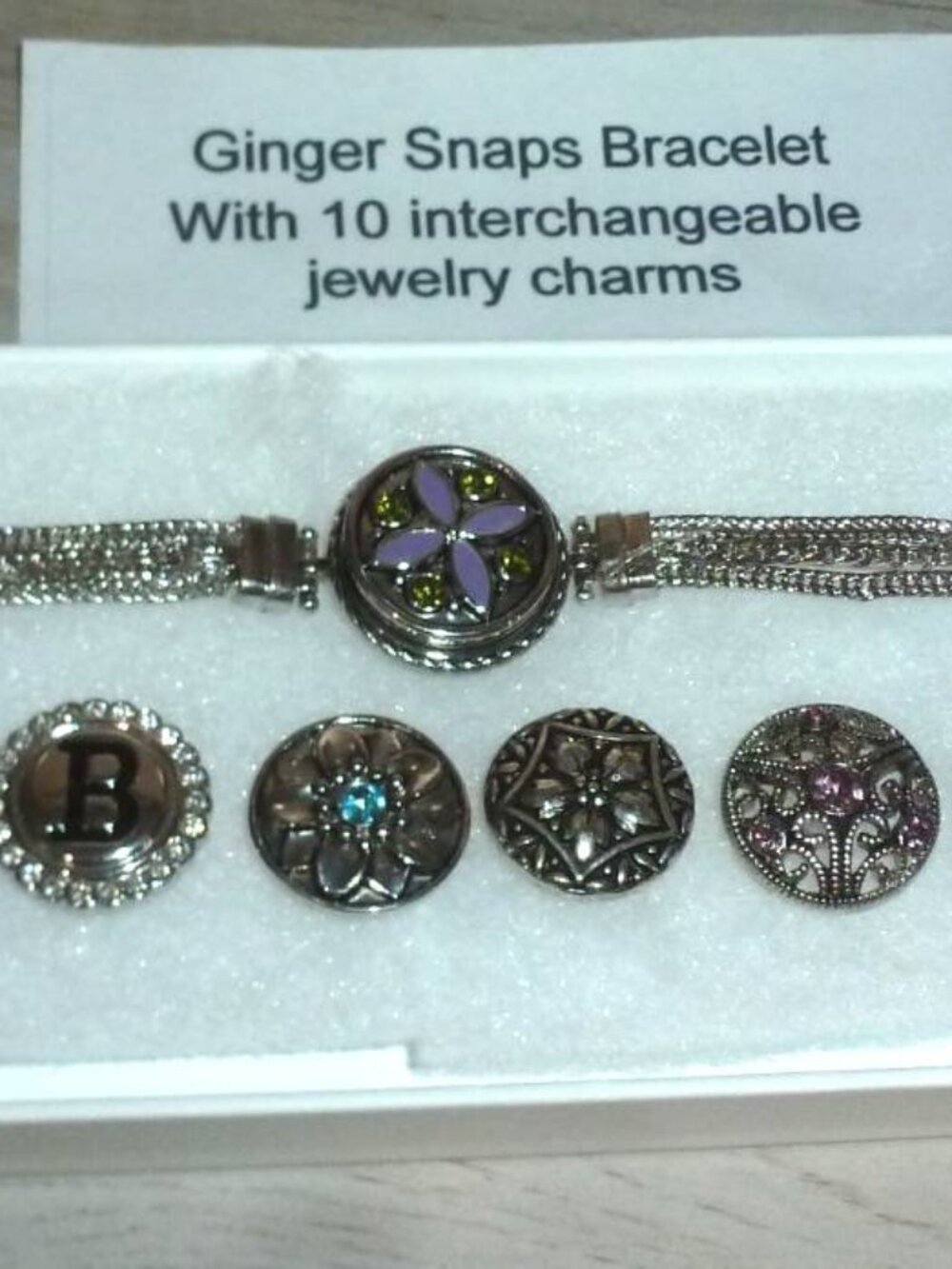 Ginger Snaps Bracelet / 10 Interchangeable Jewelry Charms
